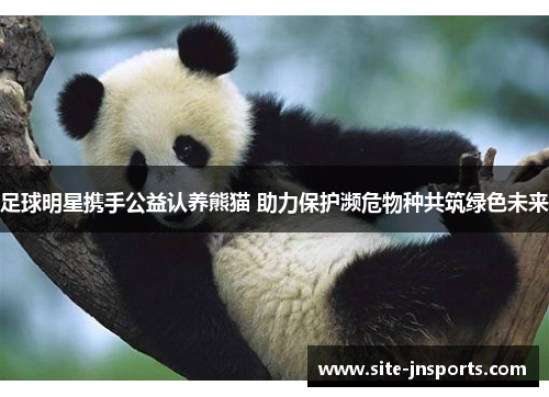 足球明星携手公益认养熊猫 助力保护濒危物种共筑绿色未来