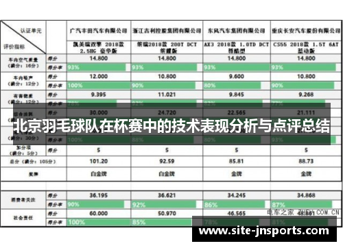 北京羽毛球队在杯赛中的技术表现分析与点评总结