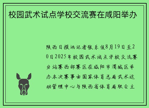 校园武术试点学校交流赛在咸阳举办